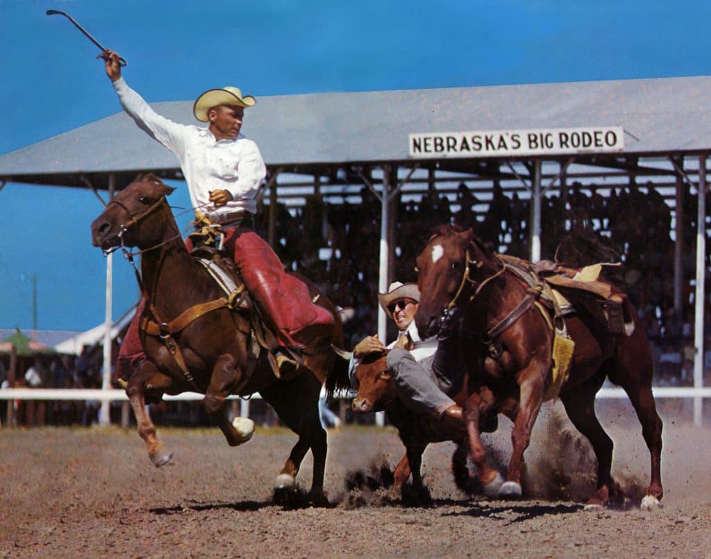 Jim Svoboda steer wrestling at Burwell Rodeo, with C. R. Boucher as the hazer
